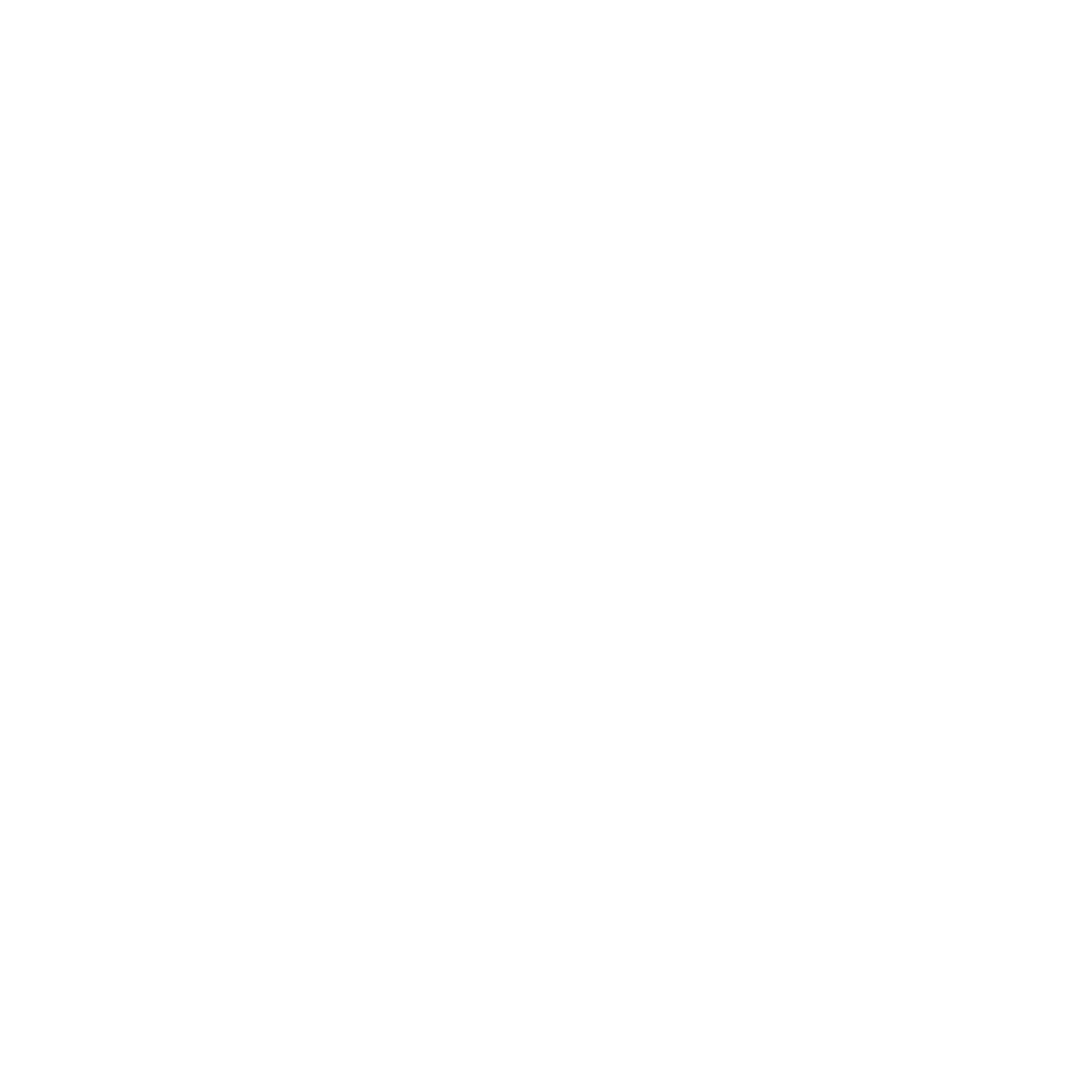 Github Logo